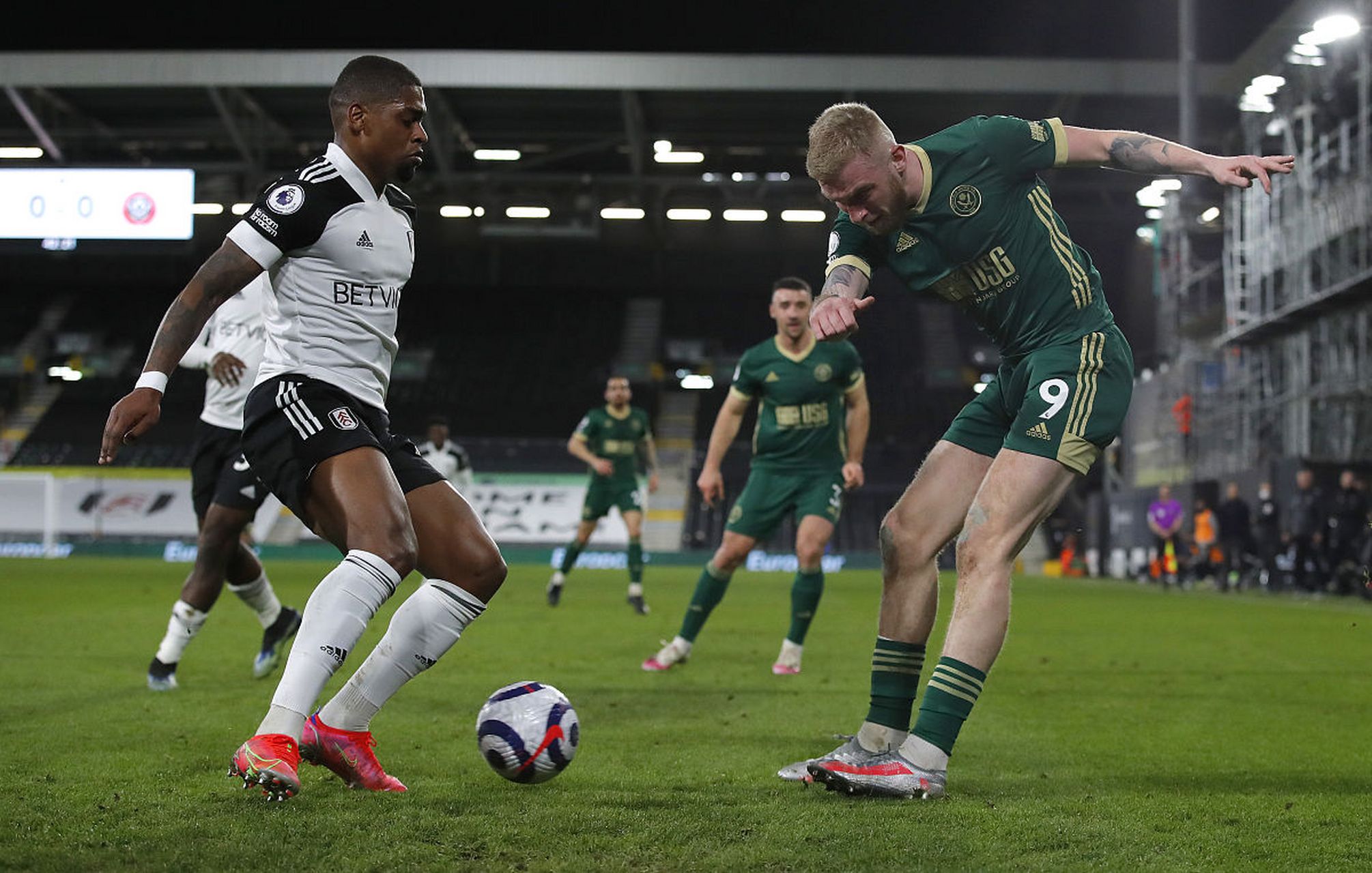 本的共同点 本的共同点