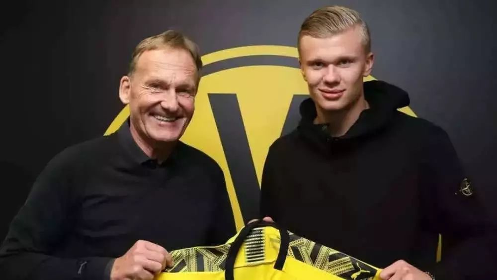 为战队积分 为战队积分